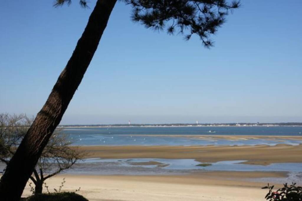 ארסשון Appart Sur La Plage Pied Dans L Eau Avec Terrasse Jardin Vue Sur Le Bassin Depuis La Terrasse , Parking מראה חיצוני תמונה