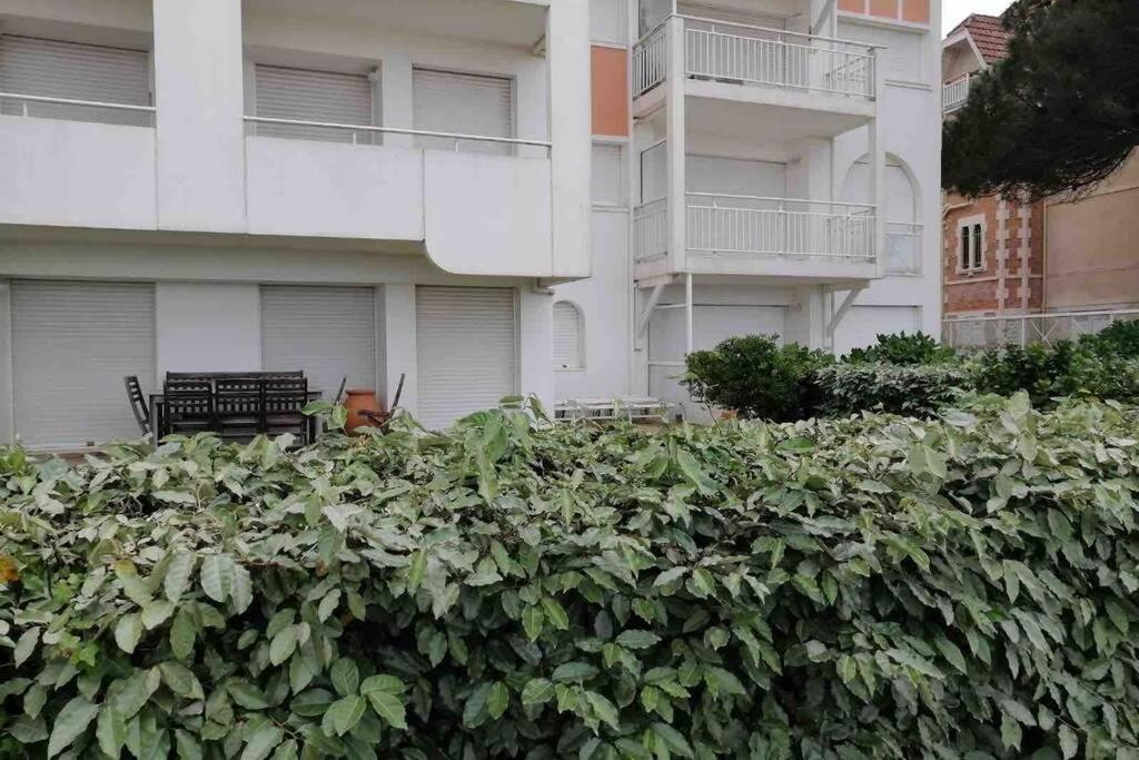 ארסשון Appart Sur La Plage Pied Dans L Eau Avec Terrasse Jardin Vue Sur Le Bassin Depuis La Terrasse , Parking מראה חיצוני תמונה